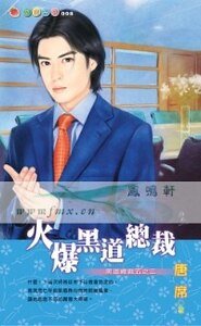 火爆黑道总裁(黑道总裁之三)