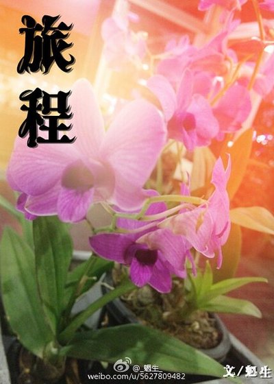 （GL百合）旅程