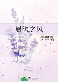 晨曦之風